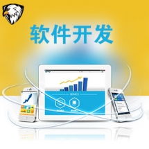 一品威客網(wǎng)軟件外包服務(wù)報(bào)價與收費(fèi)解析 專業(yè)、透明、高性價比的開發(fā)選擇